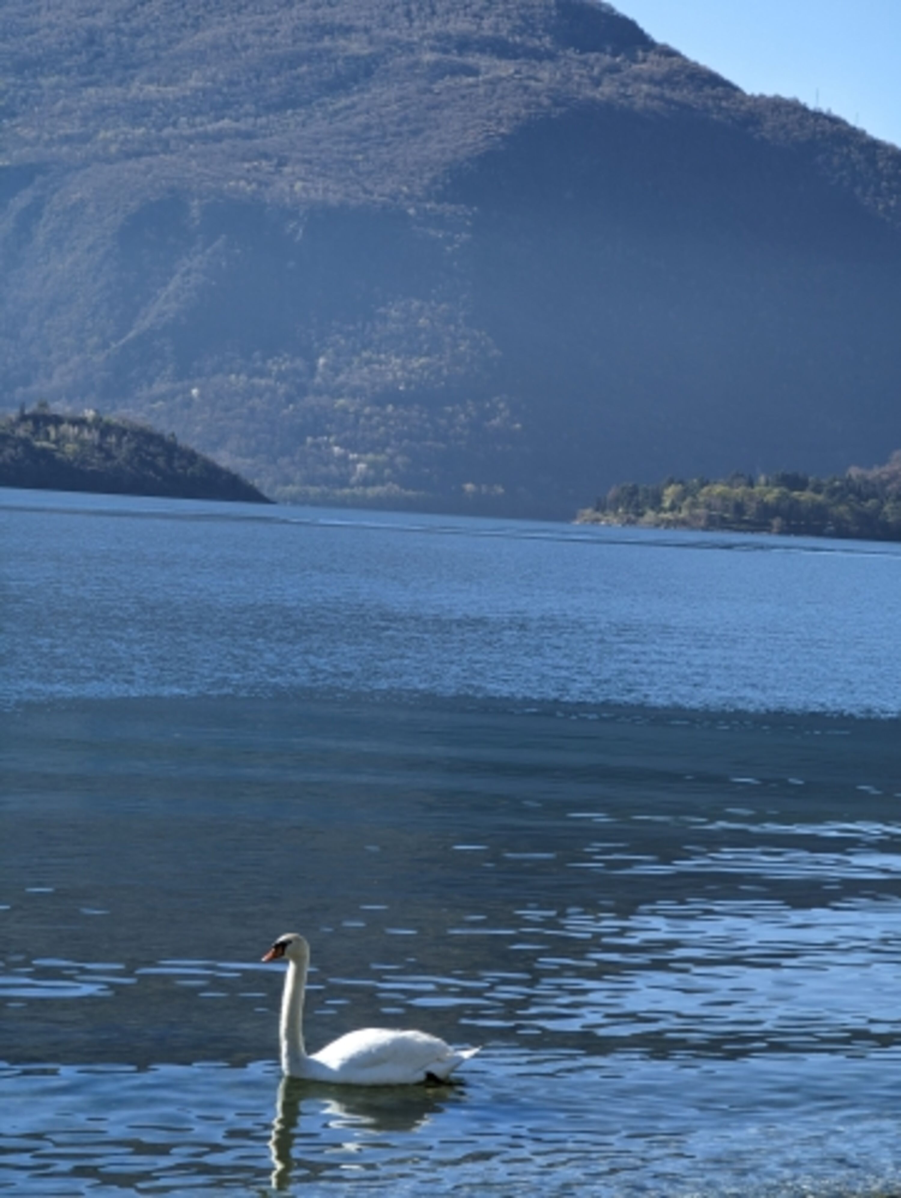 der Comer See
