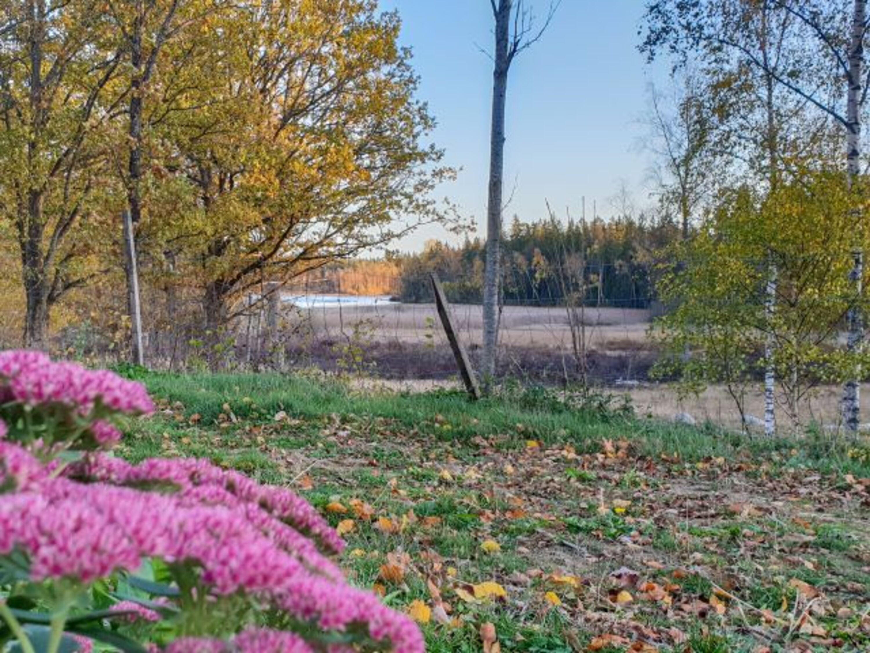 Bild 19