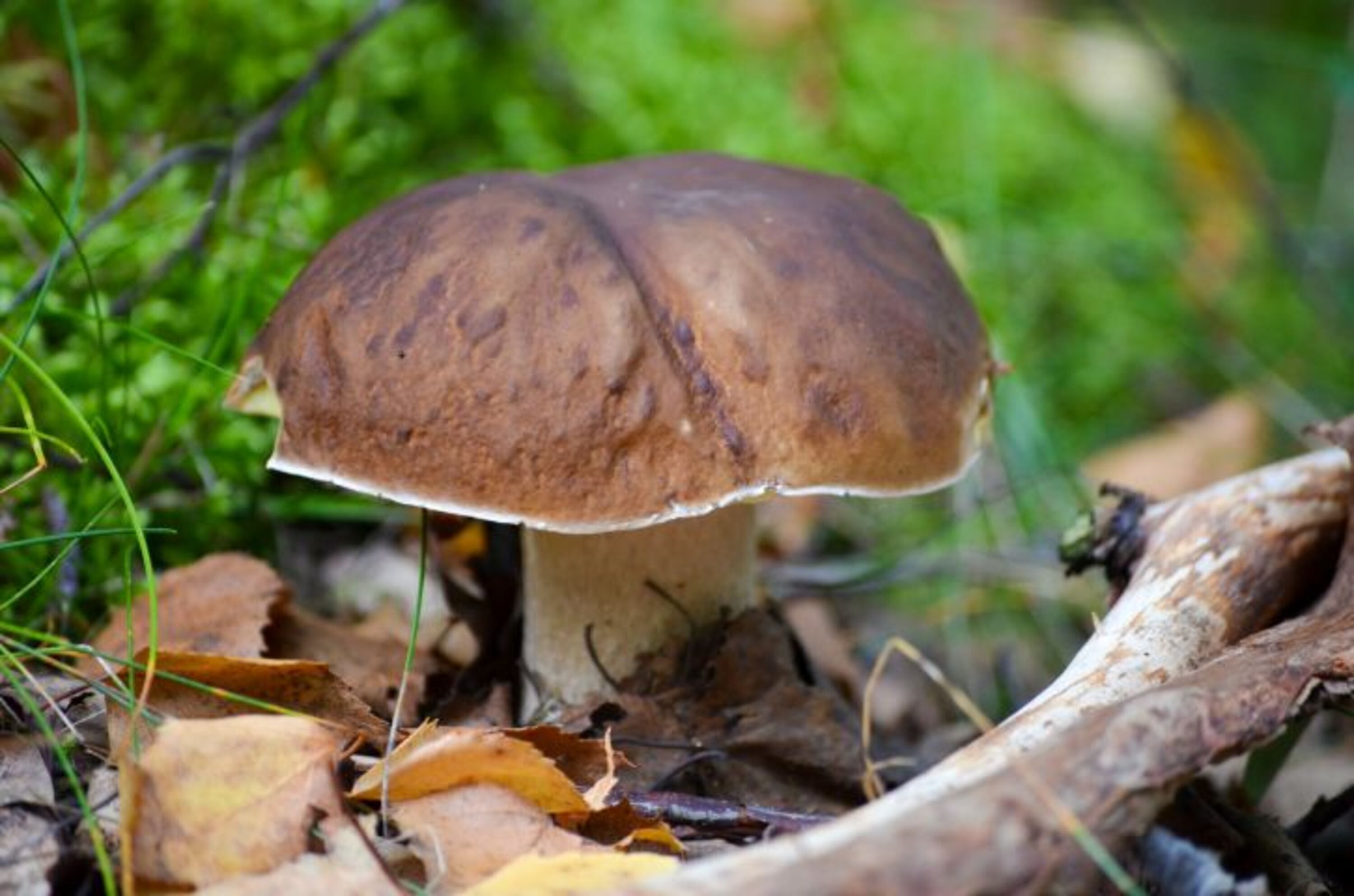 Bild 7
