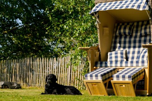 Hundeglück - Großer eingezäunter Garten !!