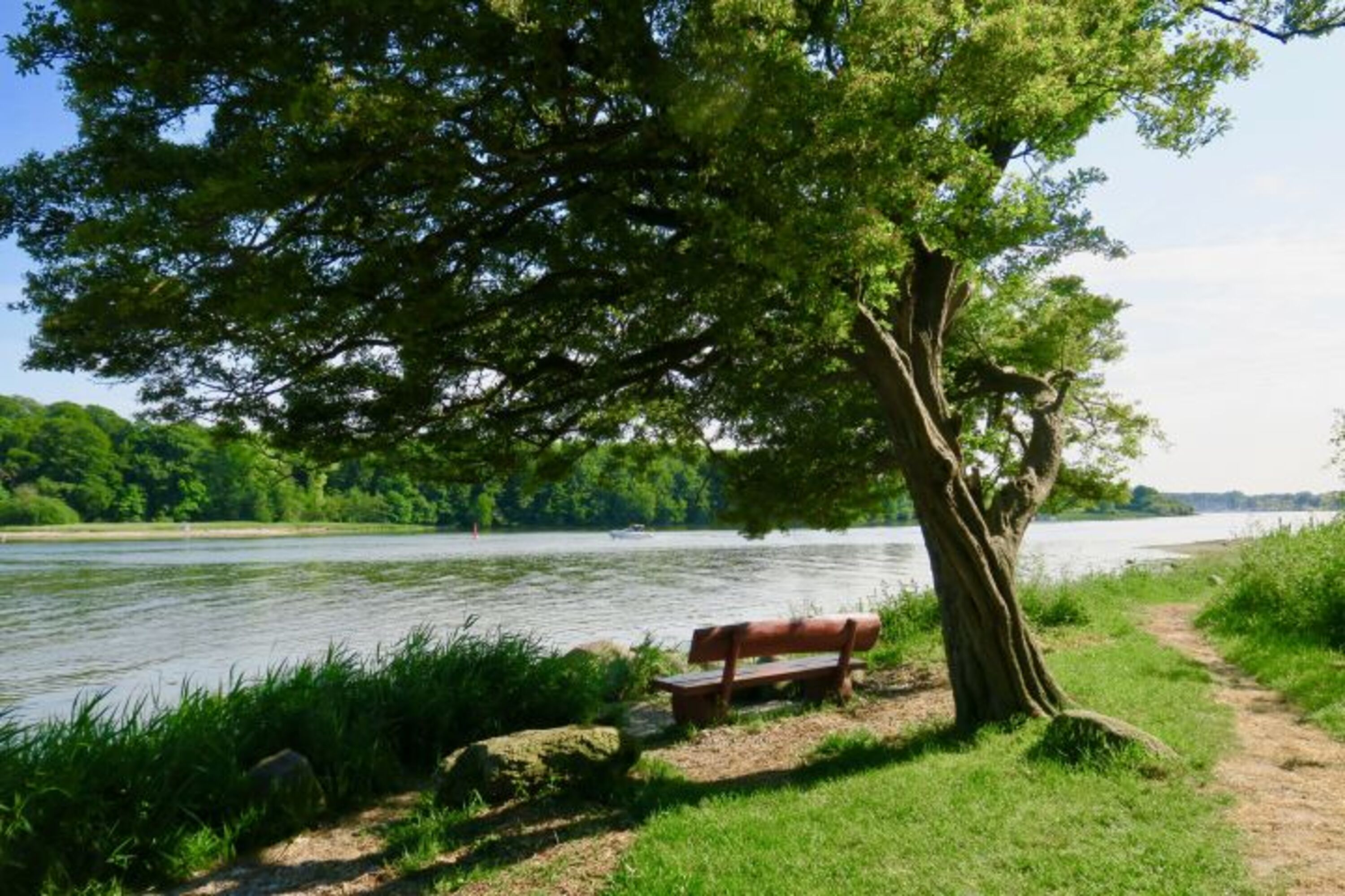 Schlei
