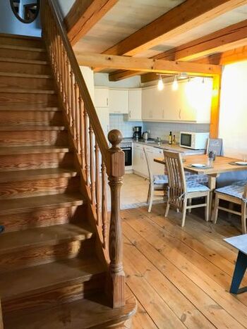 Seemöwe - haubarg am meer