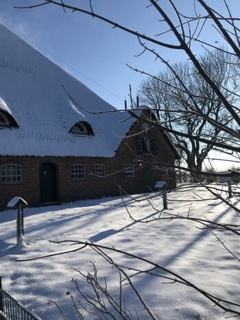 haubarg am meer im Winter