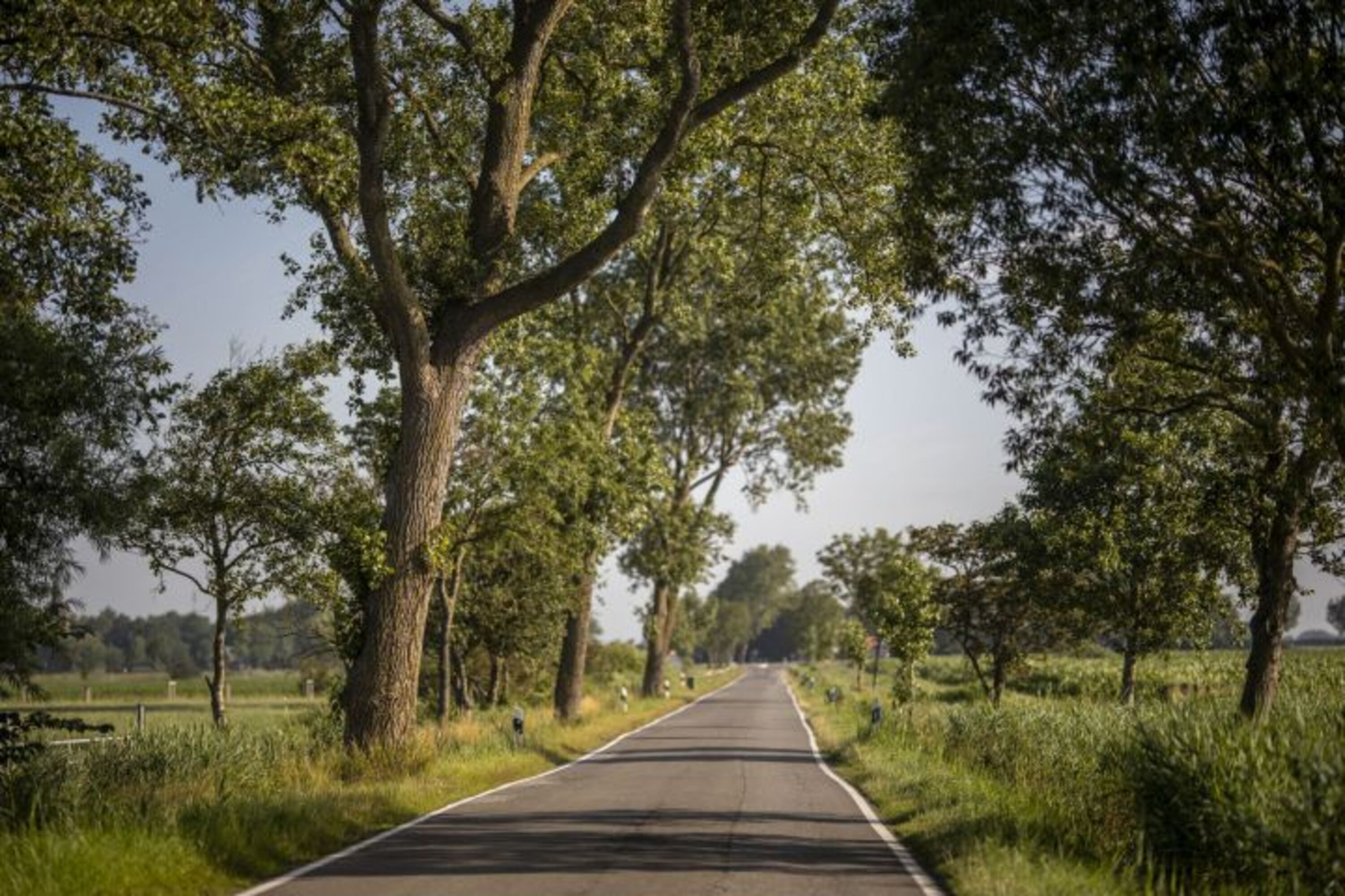 Vollerwiek