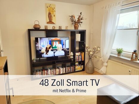 Smart TV 48 Zoll mit DVD Sammlung  