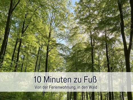 Wald in 10 min Fußweg 