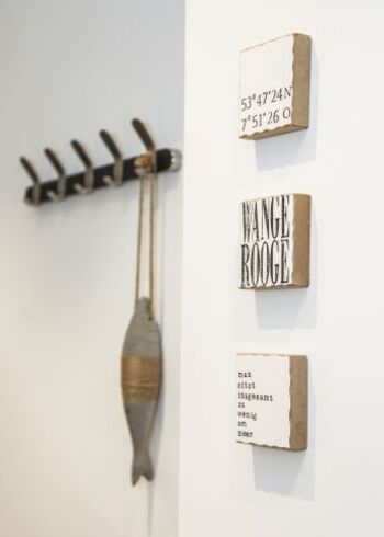 Wangerooge im Detail