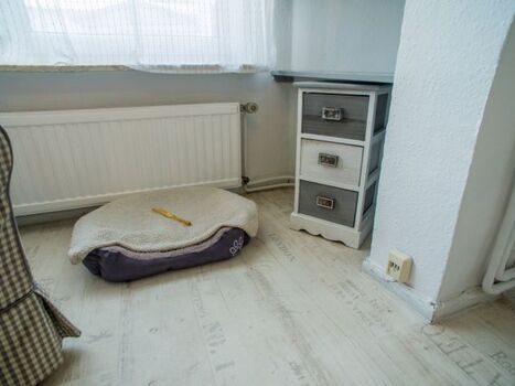 Ein Bettchen für den Vierbeiner