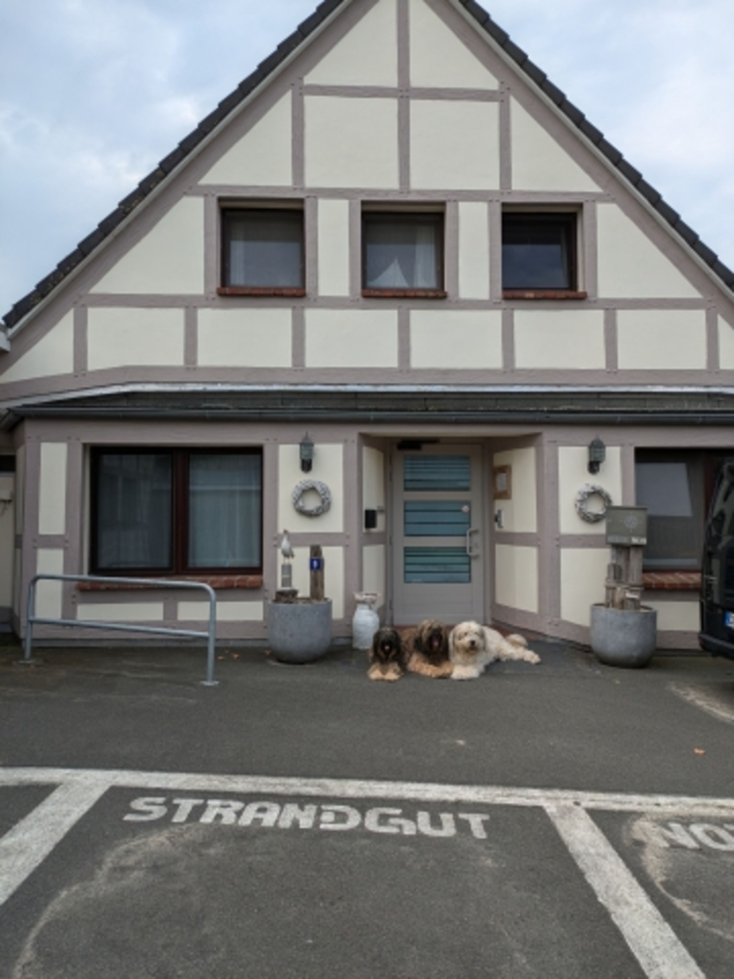 Bild 21