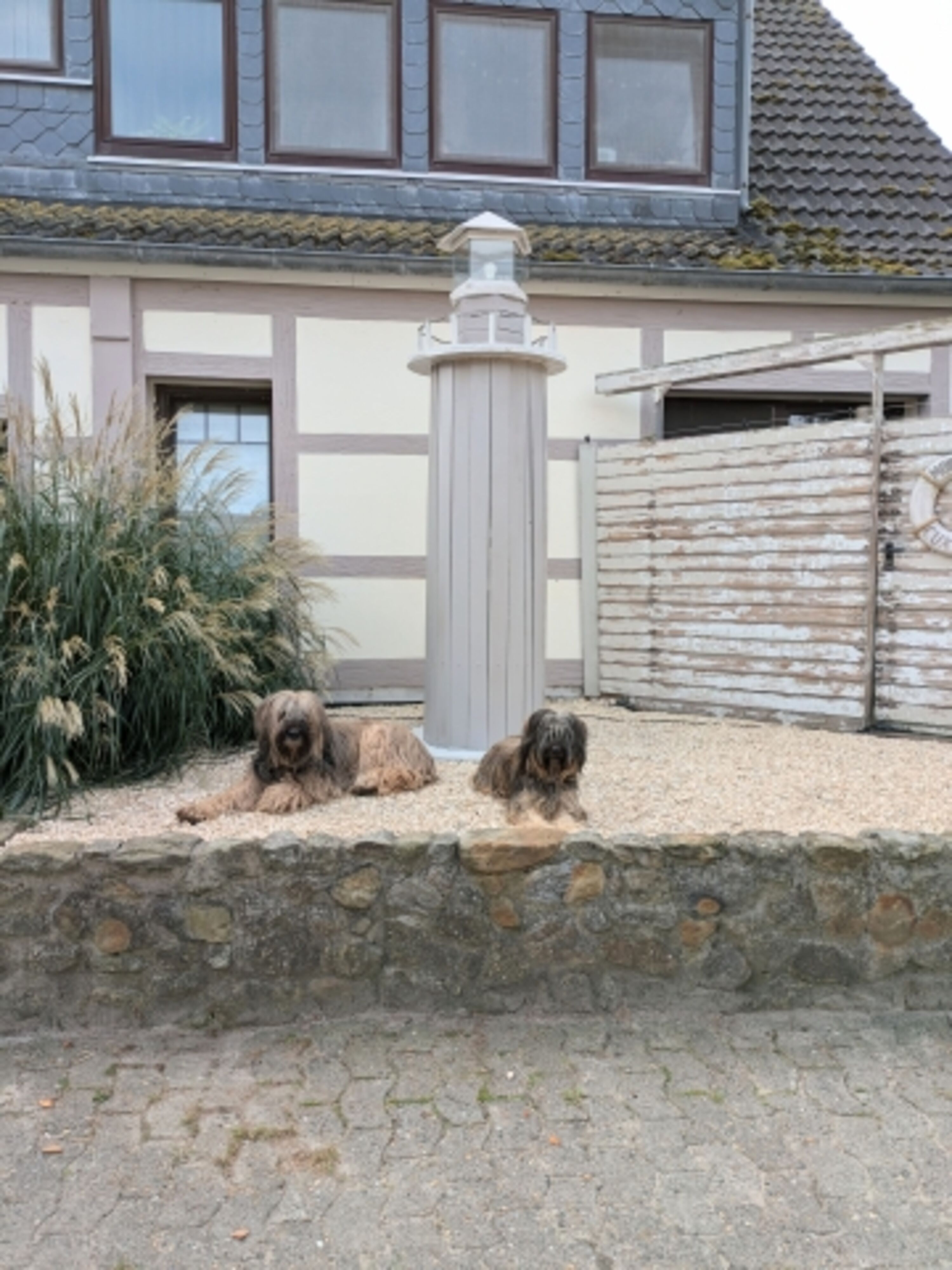 Bild 22