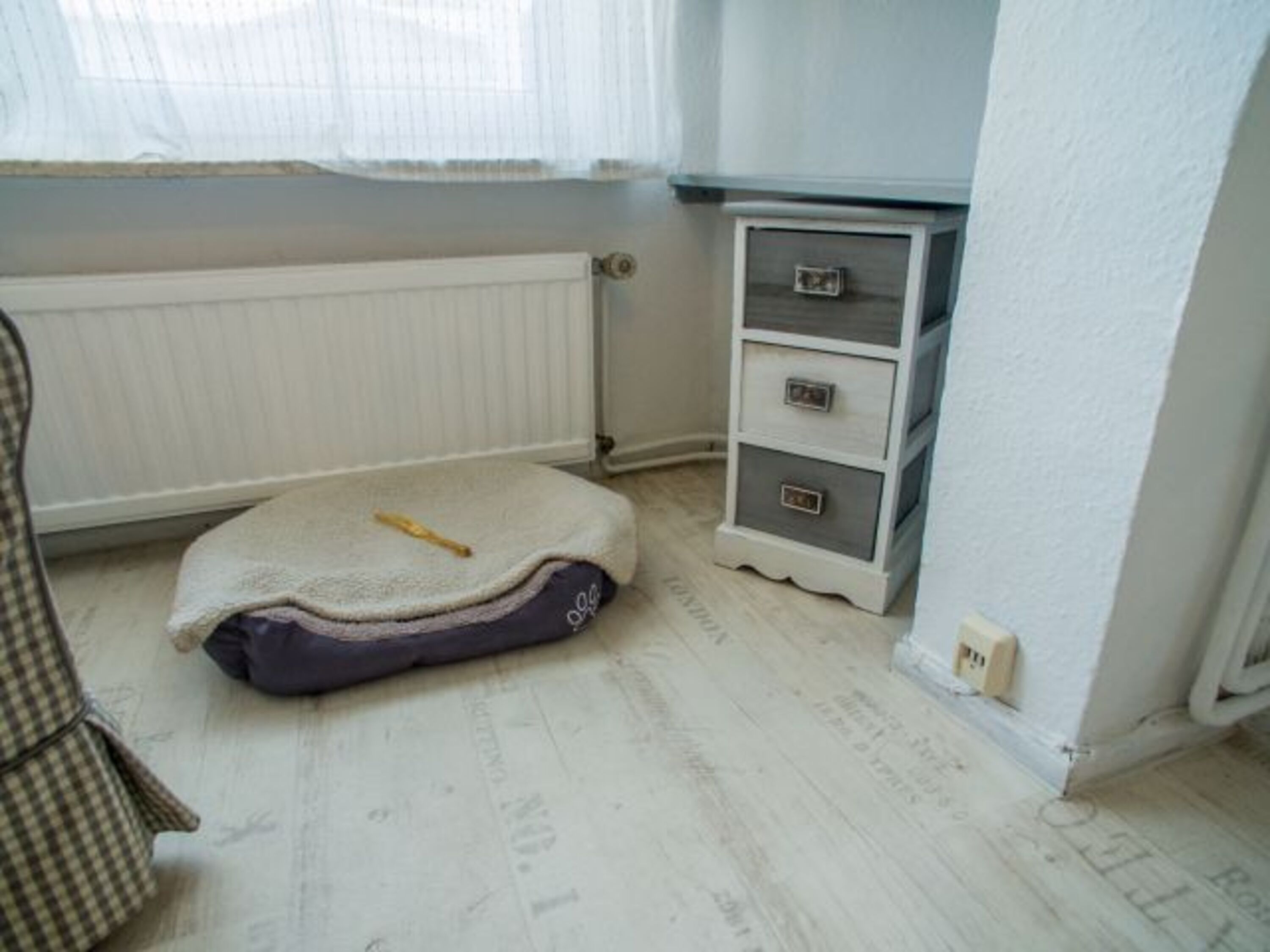 Ein Bettchen für den Vierbeiner