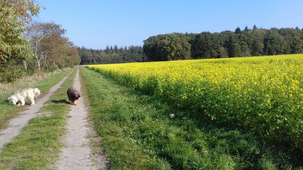 Spazierwege in der Umgebung