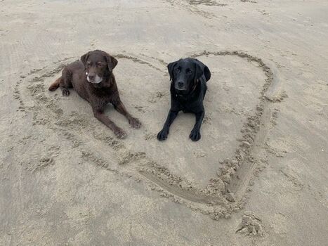 .... und wir fühlen uns hier richtig wohl!