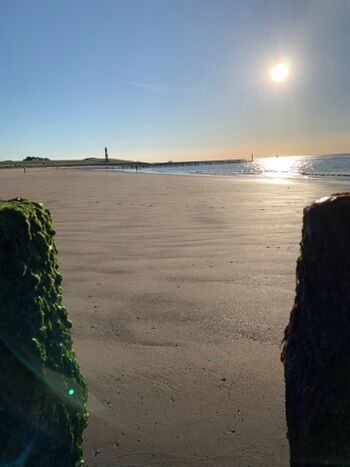 Strand und Leuchtturm