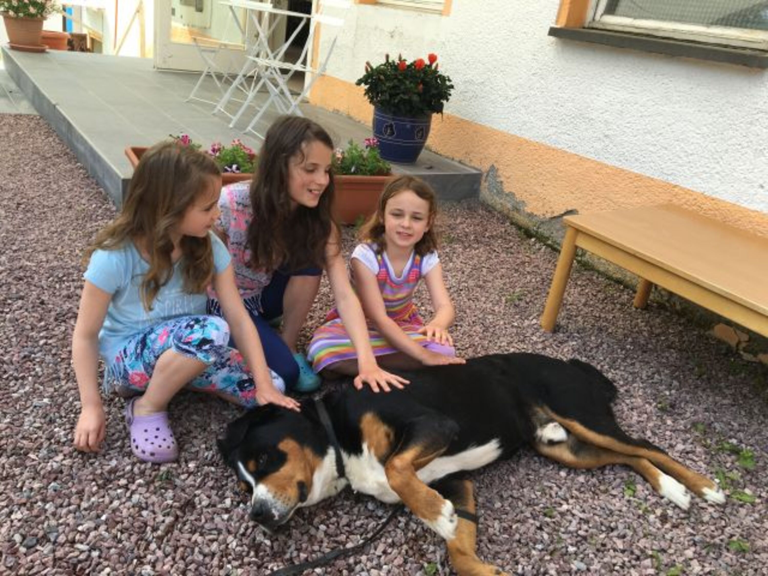 Hundefreundlich