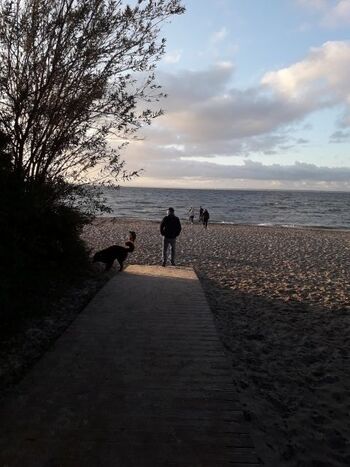 Strand Groß Schwansee
