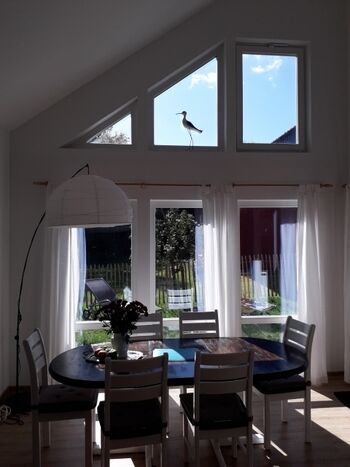 Wohnzimmer Essbereich