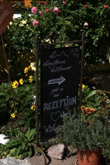 Hier geht´s zur Rezeption