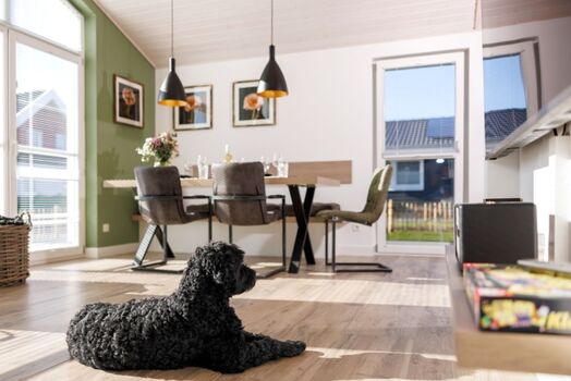 Caruso fühlt sich pudelwohl