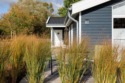 Fast wie in den Dünen