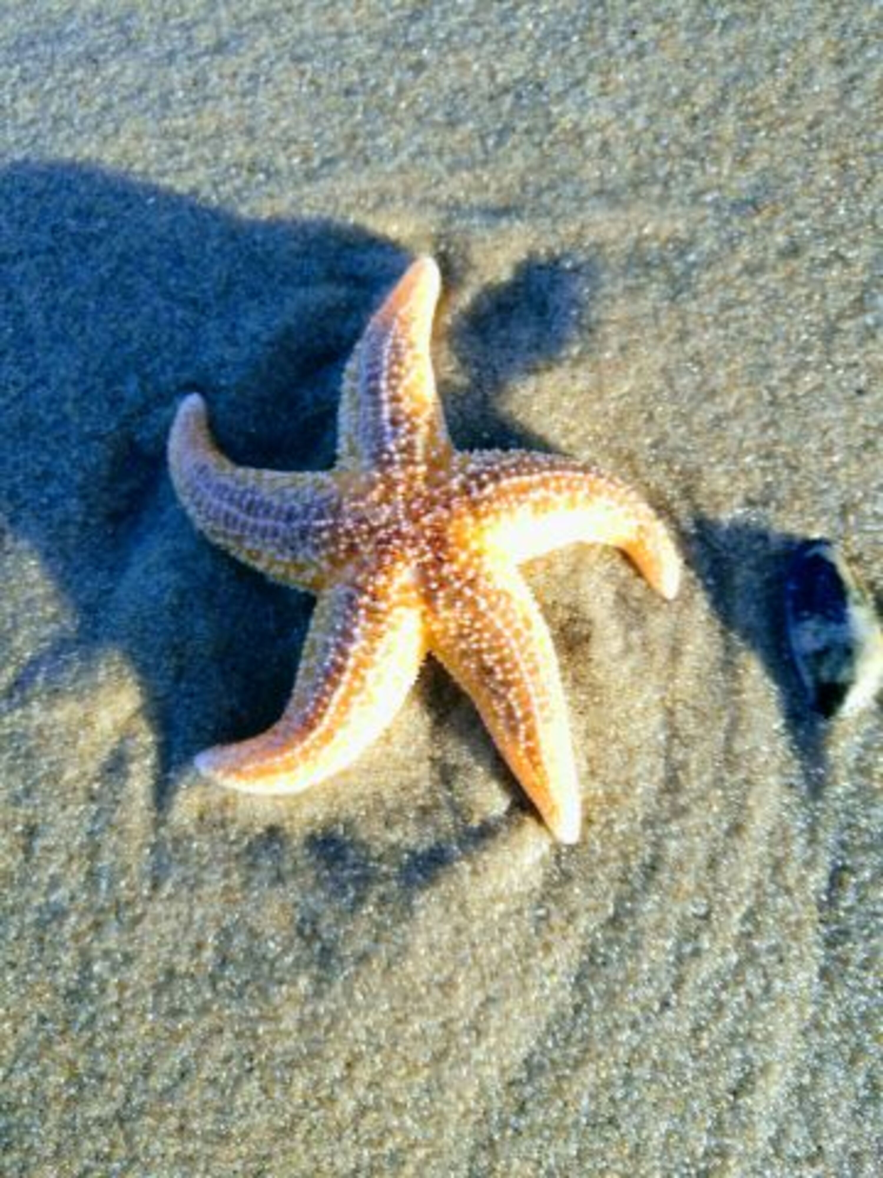 Bild 23