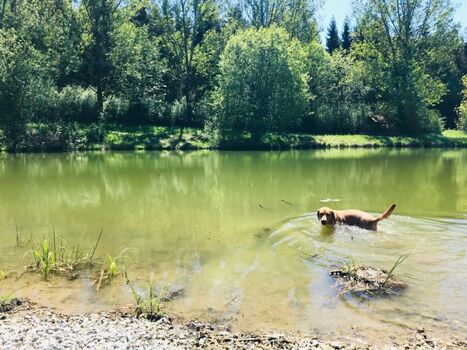 Ein kleiner Badeteich für die Fellnasen, 20 min. Fußweg