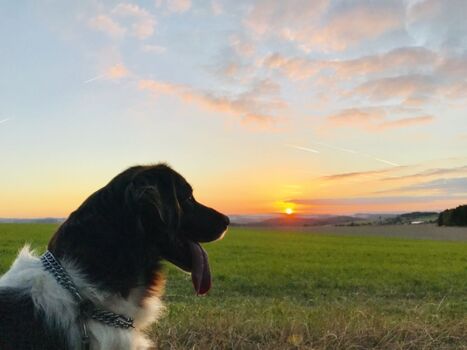 Vielfältige Landschaften laden zum Abschalten ein