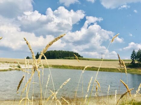 Vielfältige Landschaften laden zum Abschalten ein