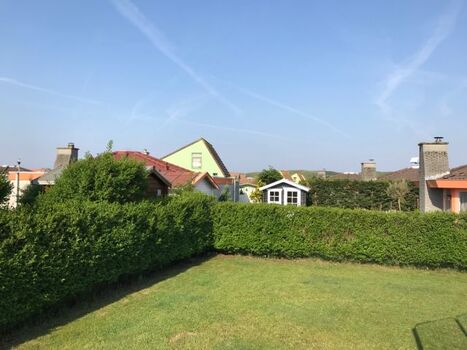 Der nicht einsehbare Garten Seestern 252