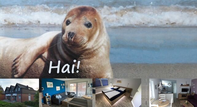 Moin und Herzlich Willkommen in der Zweiten Heimat Baltrum