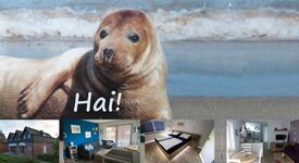 Moderne - Maritime - Gemütliche FeWo mit viel Komfort