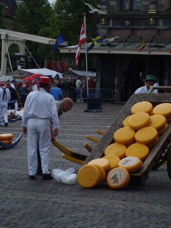 Käsemarkt Alkmaar