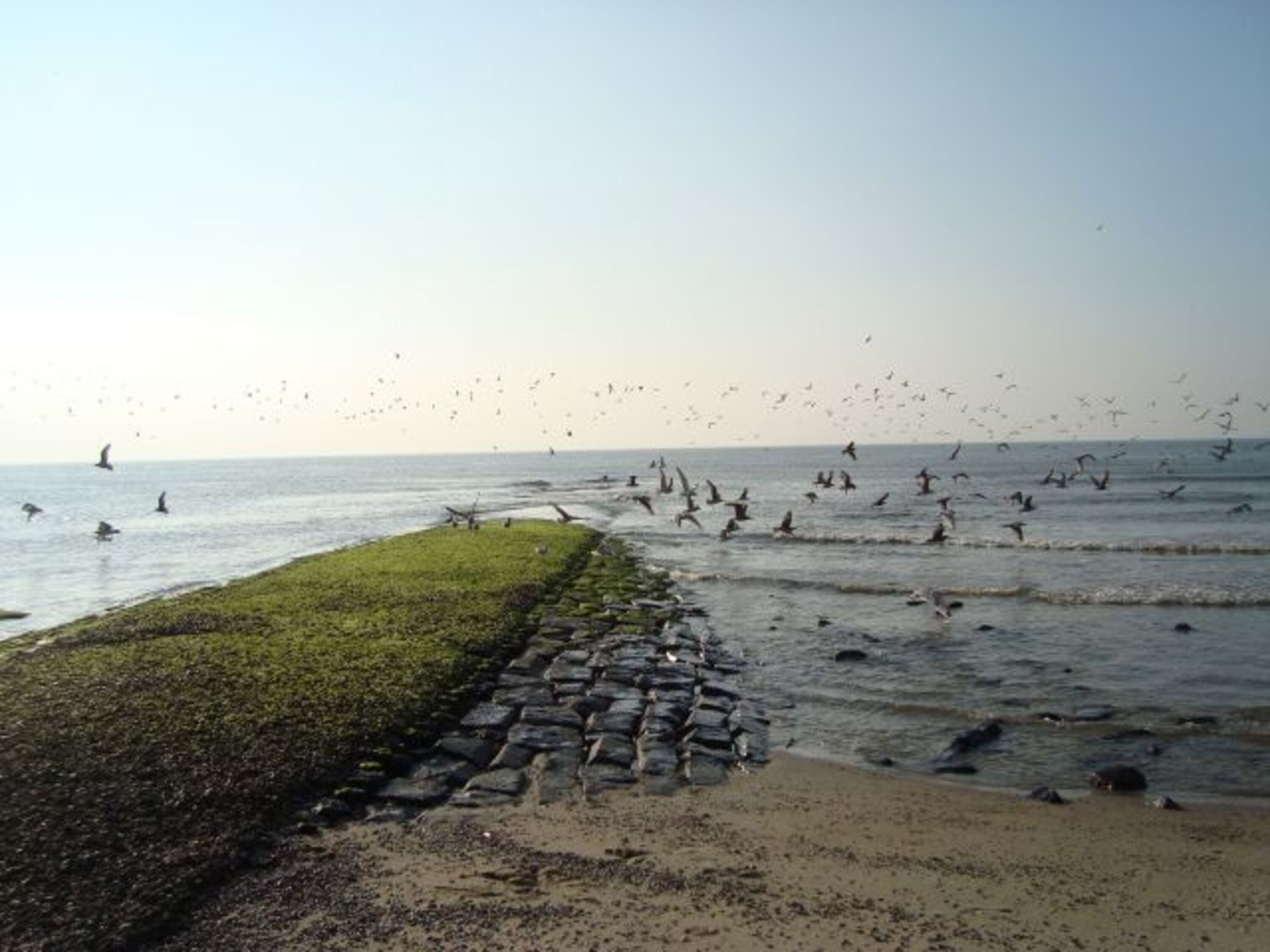 Wellenbrecher am Strand