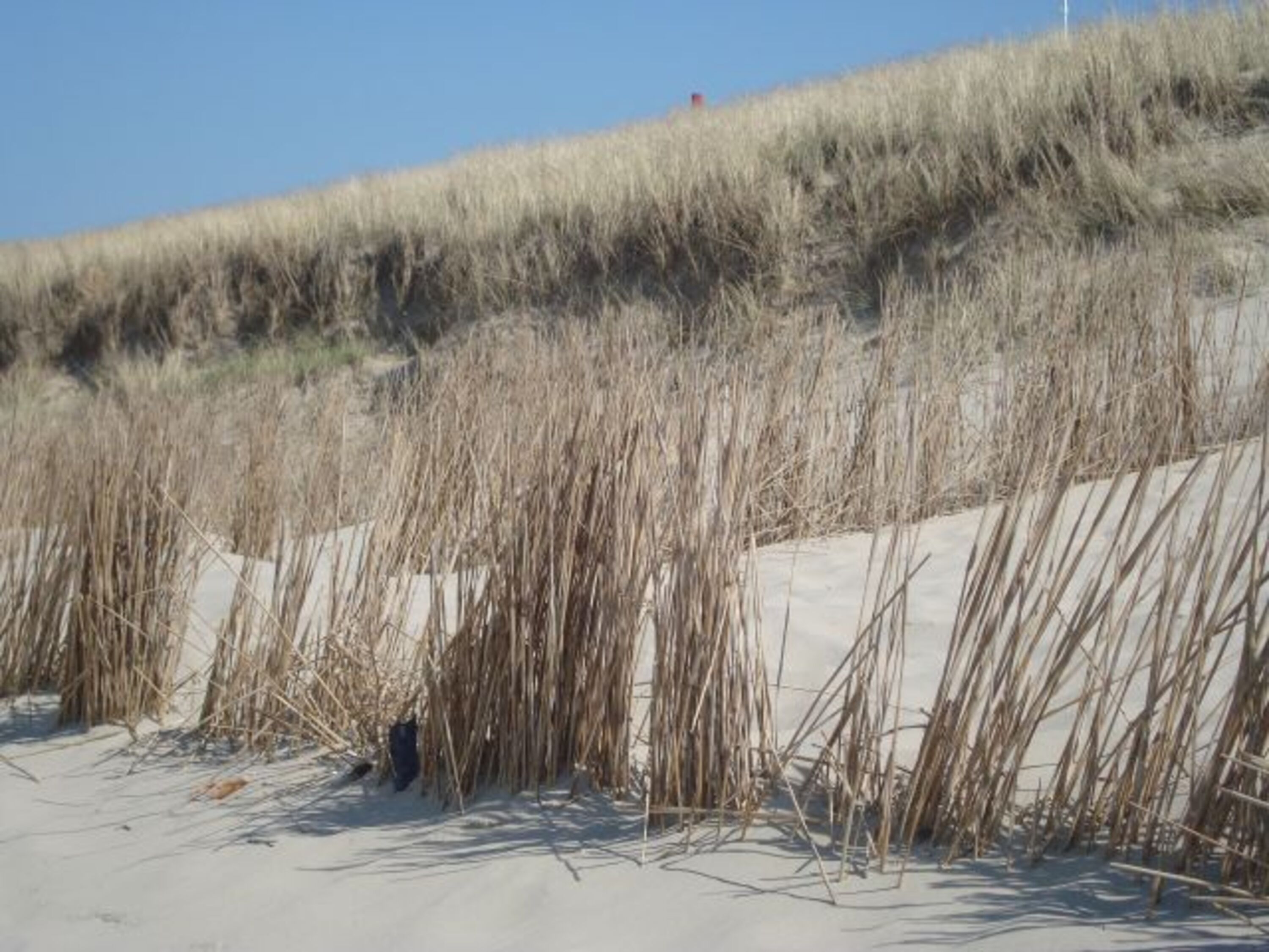Am Strand