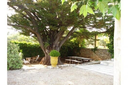 Essecke unter dem Baum