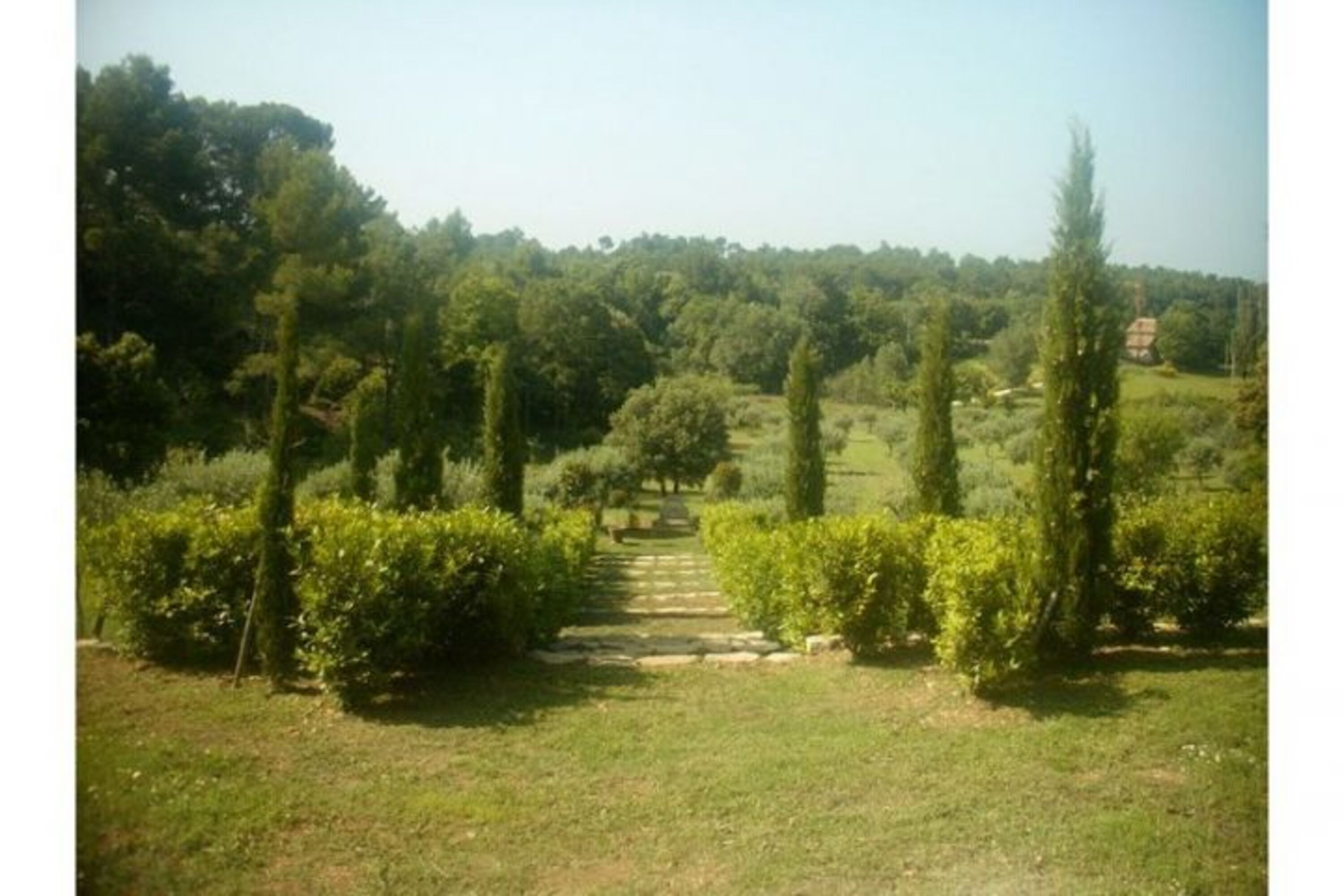 Garten