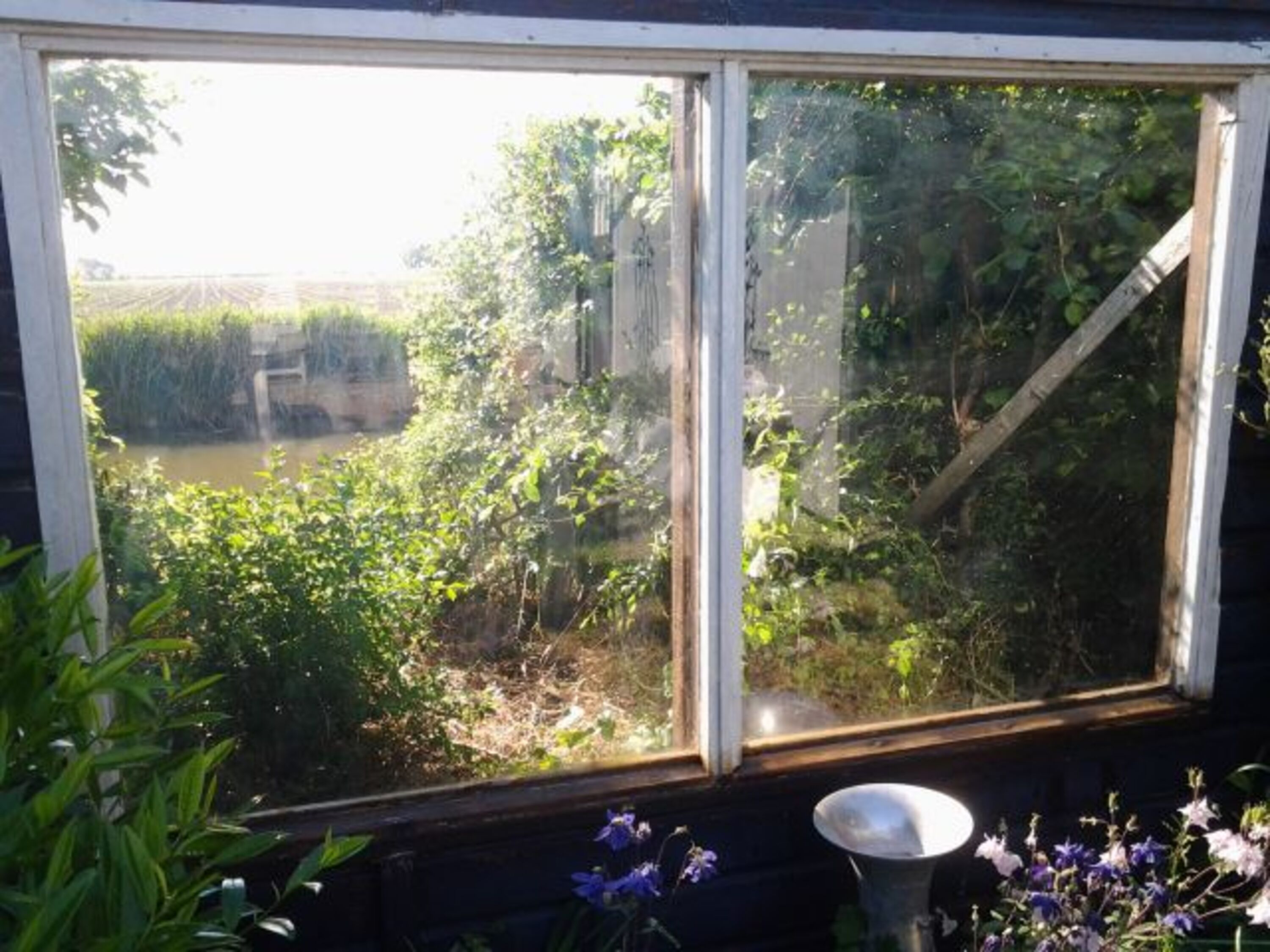 Blick aus dem Garten auf die Gracht und die Polderlandschaft
