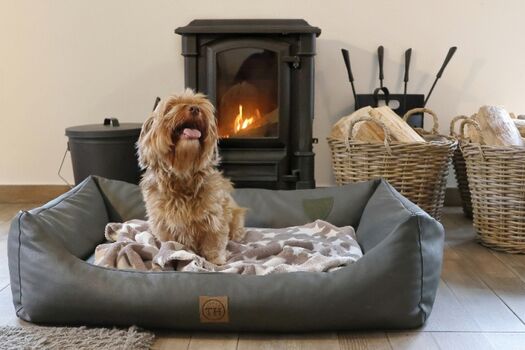 kuscheln vor dem Kaminofen 