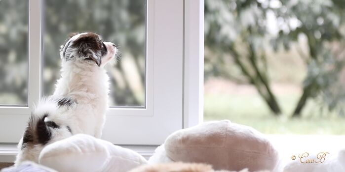 "ist das schön hier" 