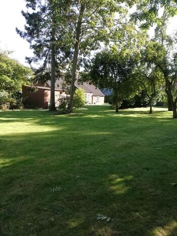 Garten zur alleingen Nutzung 