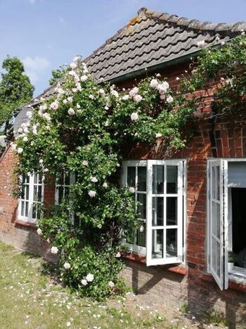 schlafen wie Dornröschen 