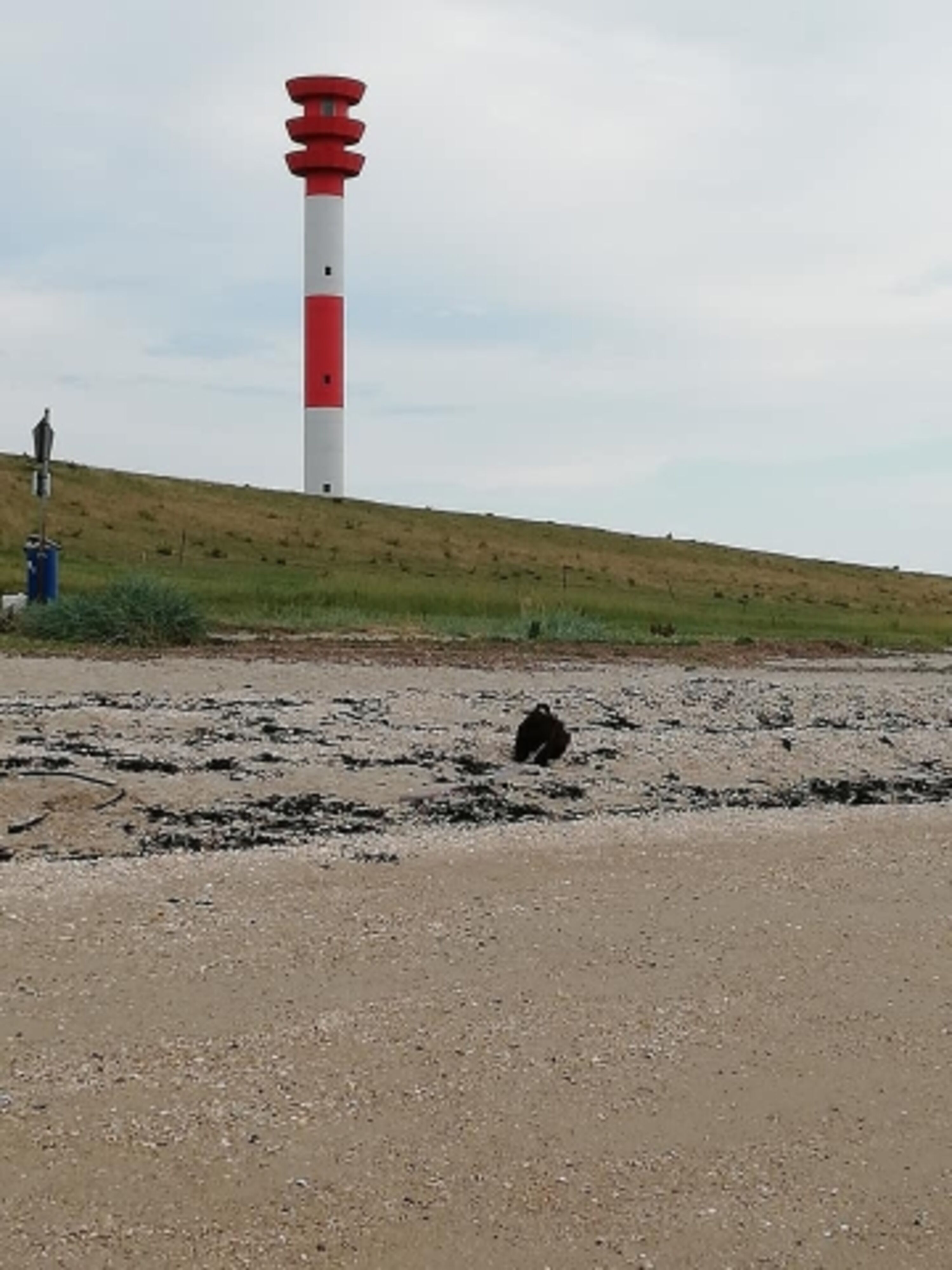 am Strand 