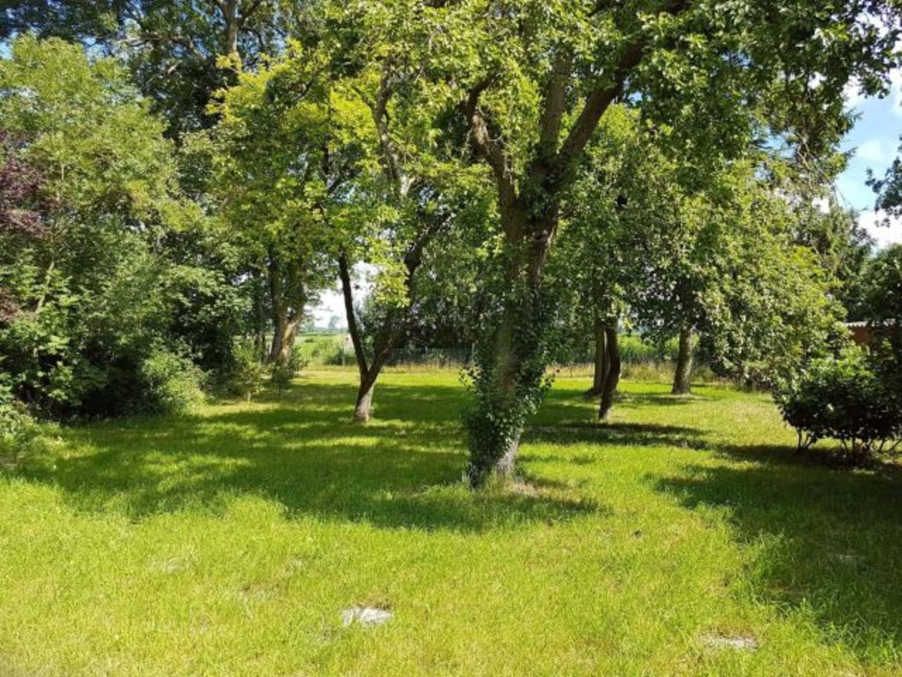 unser Garten 