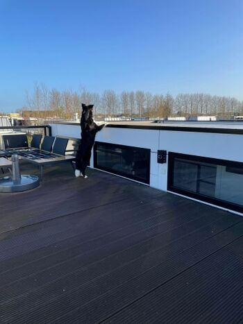 Tolle Aussicht für alle Zwei- und Vierbeiner