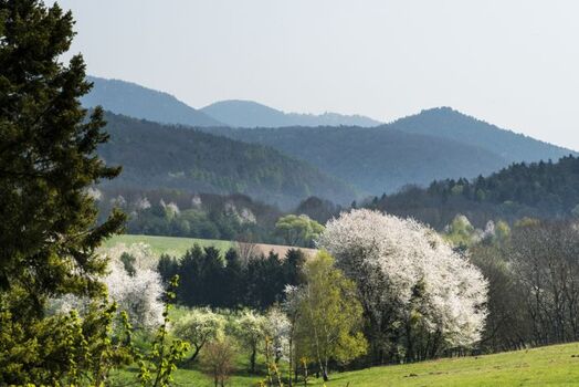 Landschaft um den Hof