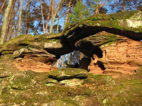 Buntsandsteinfels im Pfälzerwald