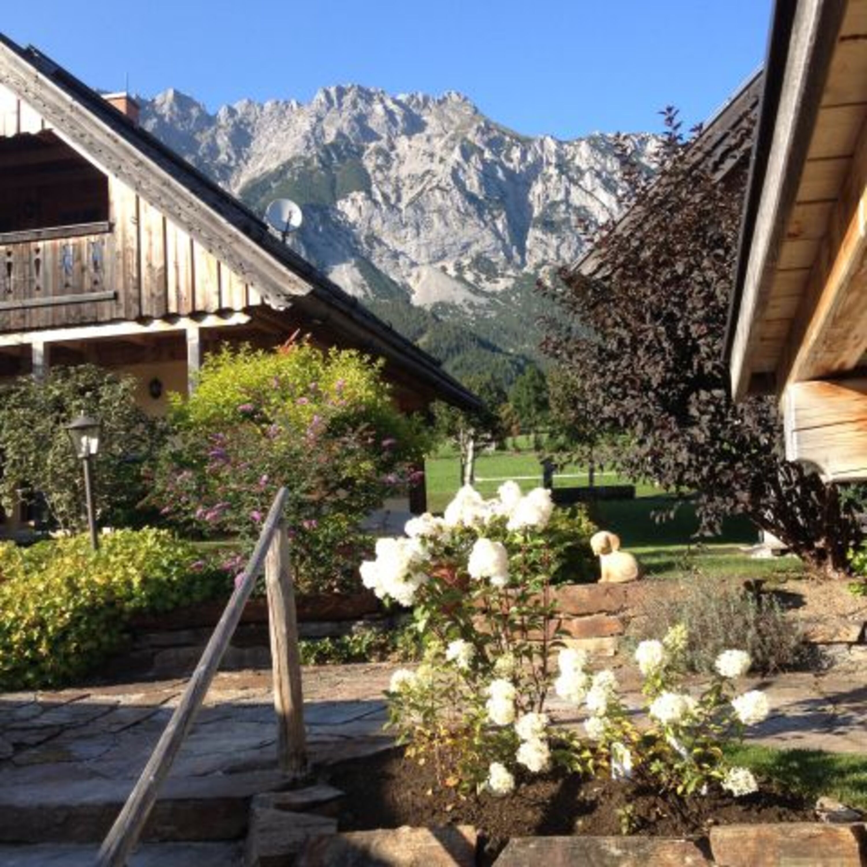 Bild 11