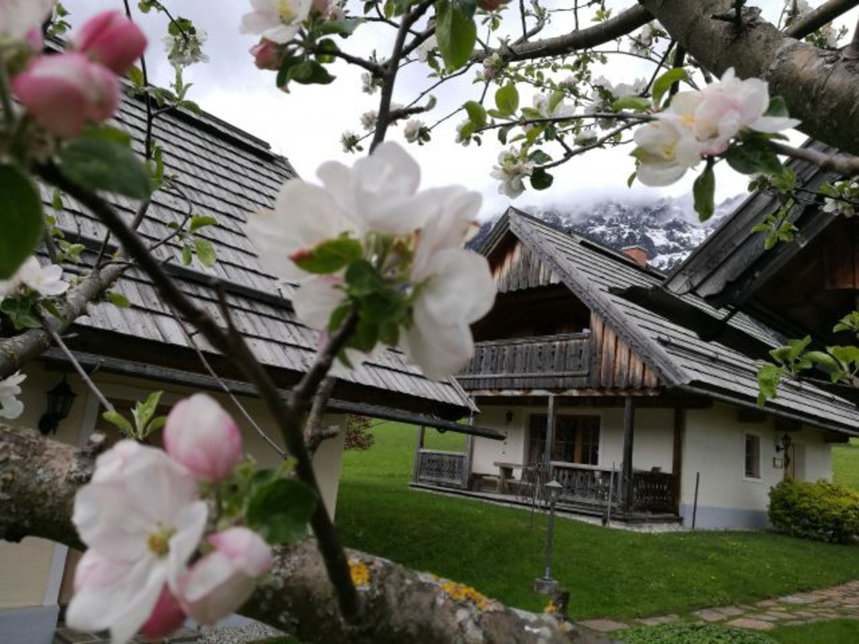 Bild 16