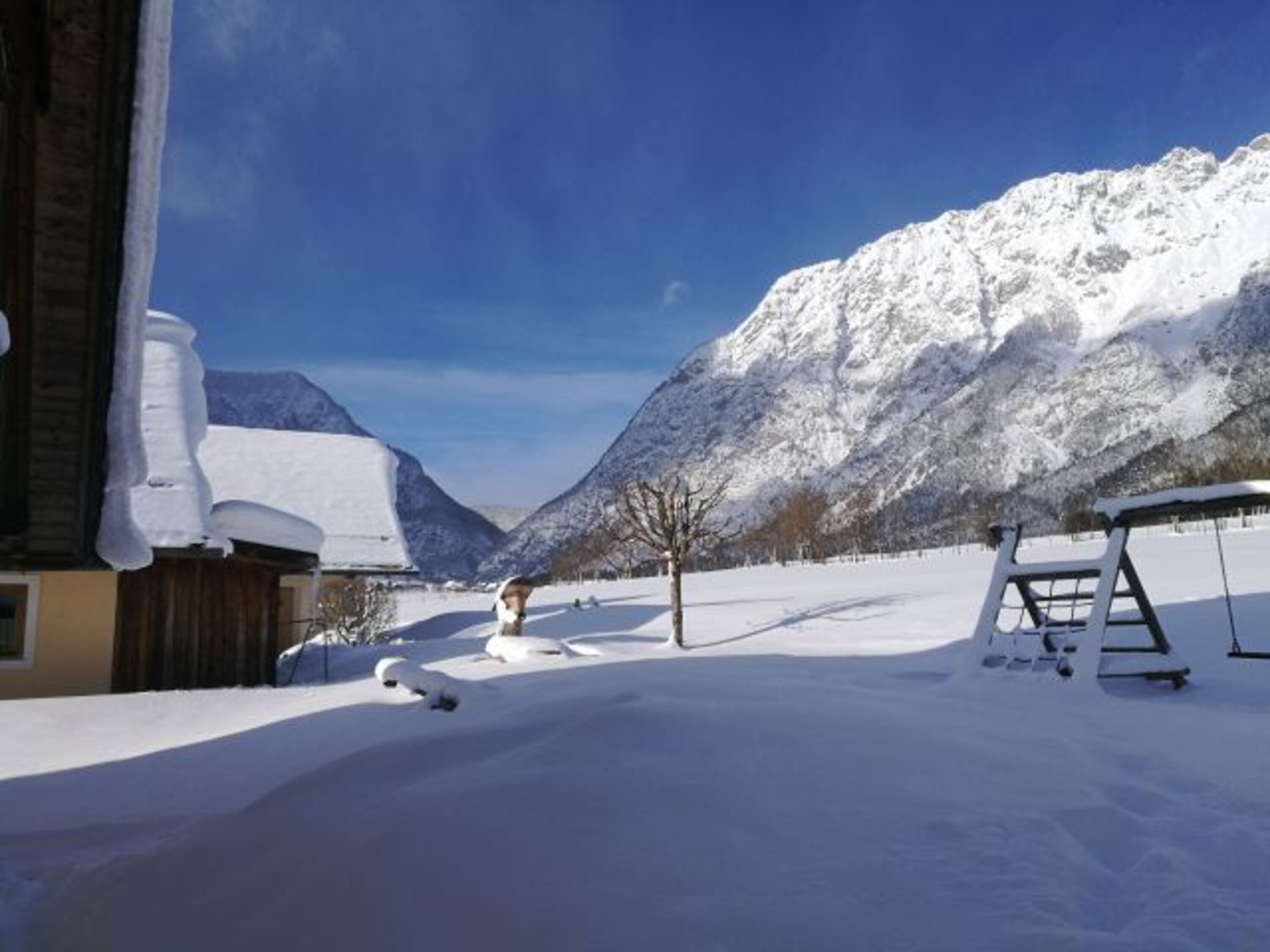 Bild 19