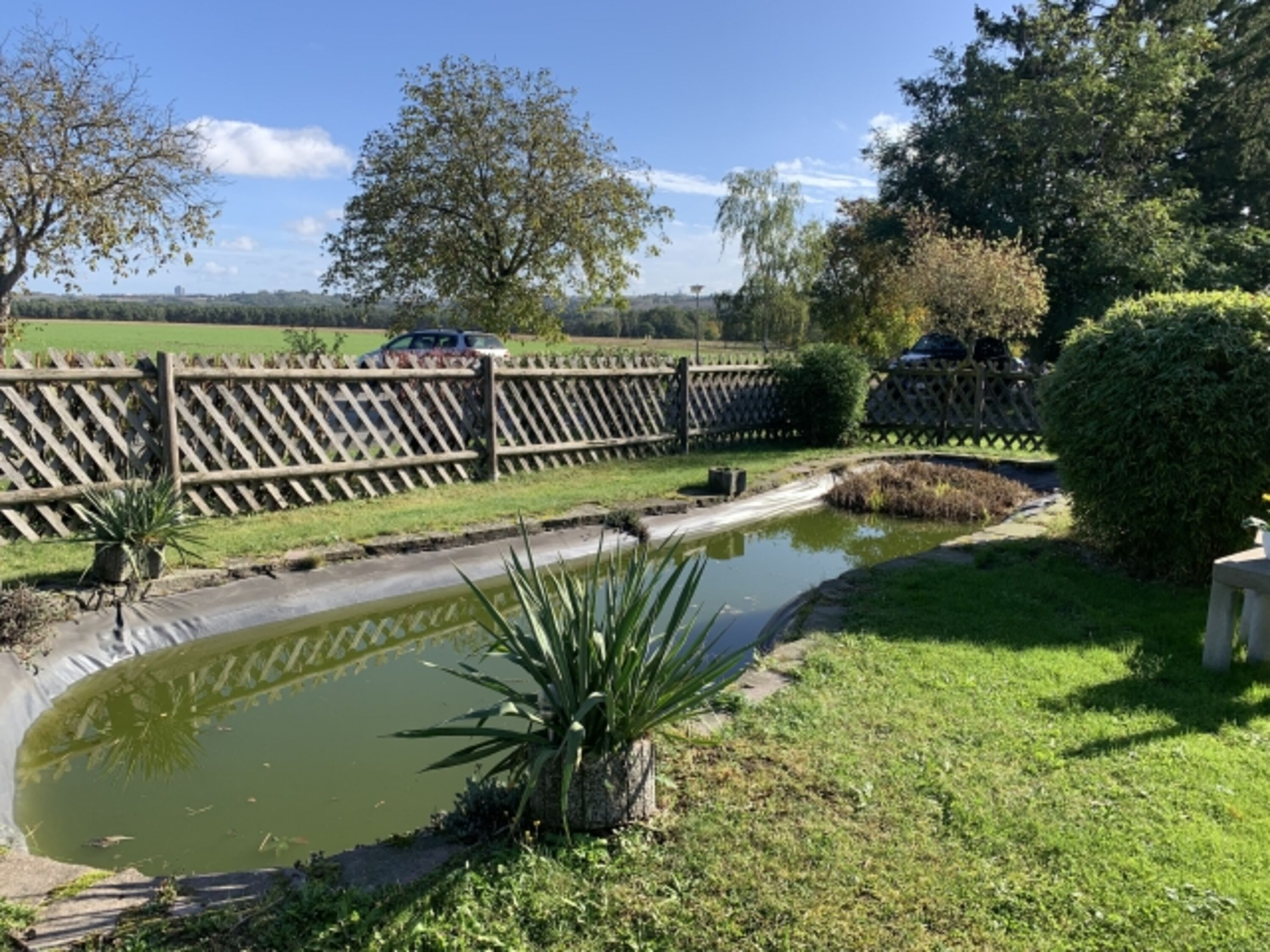 Teich FH 88